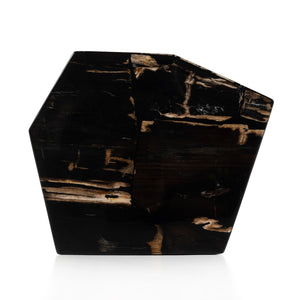 Shep End Table-Polished Petrified Wood