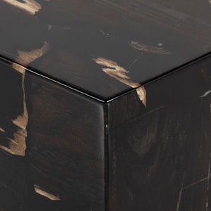 Shep End Table-Polished Petrified Wood