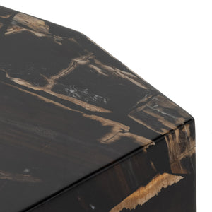 Shep End Table-Polished Petrified Wood