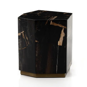 Shep End Table-Polished Petrified Wood