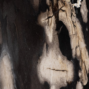 Bevin End Table-Dark Petrified Wood