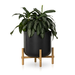 Hank Planter-Black Concrete