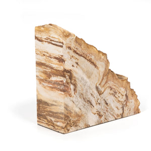 Petrified Wood Book Ends-Light