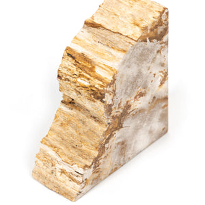Petrified Wood Book Ends-Light