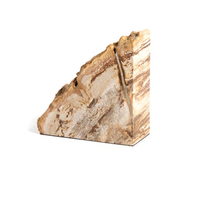 Petrified Wood Book Ends-Light