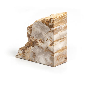 Petrified Wood Book Ends-Light