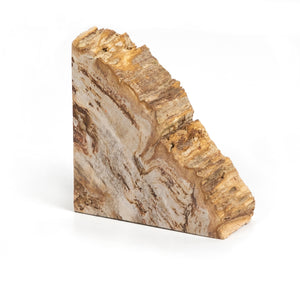 Petrified Wood Book Ends-Light