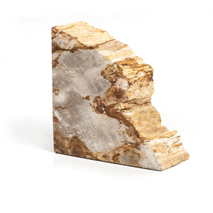 Petrified Wood Book Ends-Light