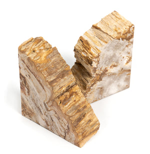 Petrified Wood Book Ends-Light