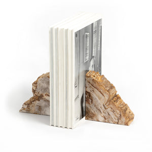 Petrified Wood Book Ends-Light