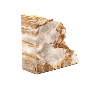 Petrified Wood Book Ends-Light