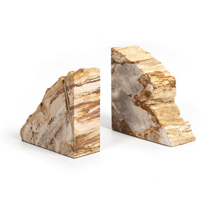 Petrified Wood Book Ends-Light