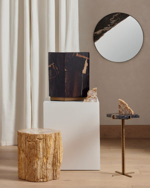 Petrified Wood Book Ends-Light