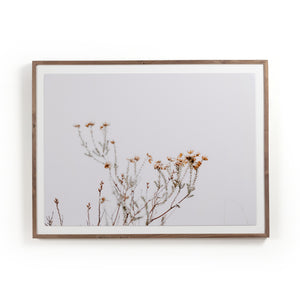 In The Details I by Annie Spratt