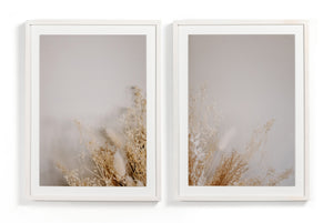 Dried Floral Dyptich by Annie Spratt