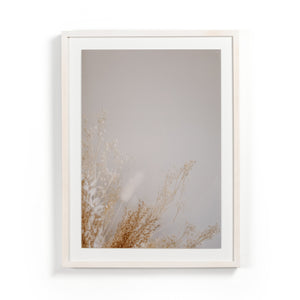 Dried Floral Dyptich by Annie Spratt