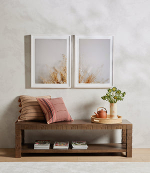 Dried Floral Dyptich by Annie Spratt