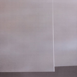 Texture Study One by Frank Wolsky