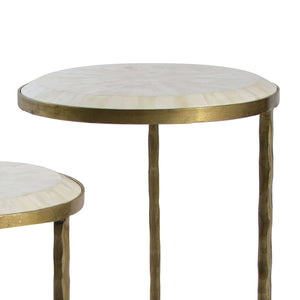 Bone Veneer Nesting Table (Brass)