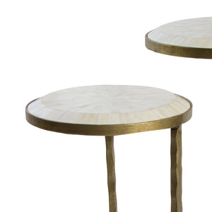 Bone Veneer Nesting Table (Brass)