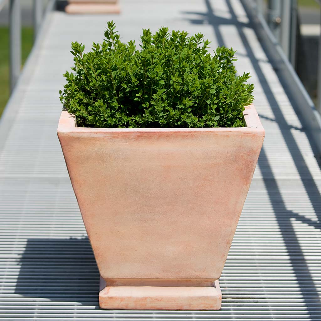 Natural Terra Cotta Square Taper Planters - Set of 2