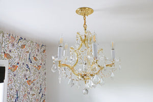 Maria Theresa 6 Light Clear Italian Crystal Gold Mini Chandelier