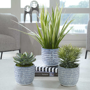 Puebla Greenery In Blue & White Pots, S/3