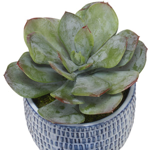Puebla Greenery In Blue & White Pots, S/3