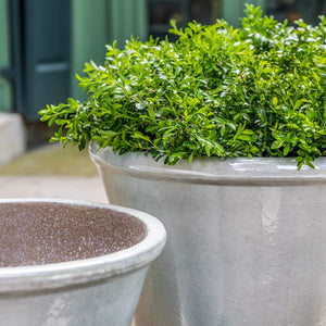 Pearl White Glazed Terra Cotta Flared Planters - Set of 4