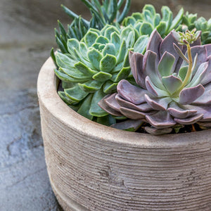 Low Sgraffito Antico Terra Cotta Cylinder Planters - Set of 3