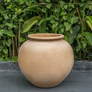 Large Terra Cotta Jar Planter