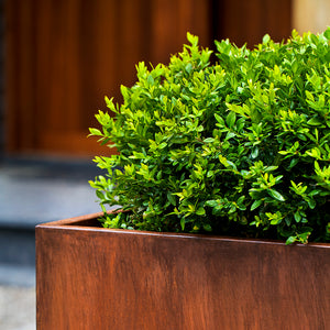 Tall Cube Indoor/Outdoor Planter - Rust Steel (Set of 2)