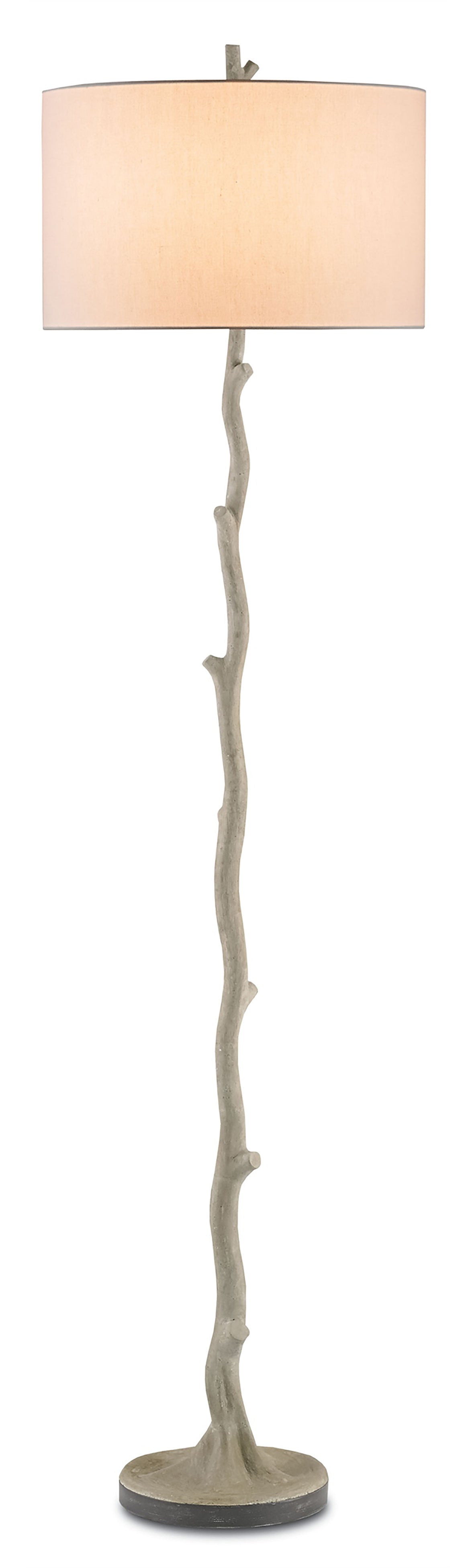 Currey and Company Beaujon Floor Lamp