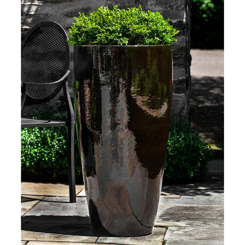 lucky bamboo plant soil Dracaena 'Lucky Bamboo'  Rosebud HomeGoods