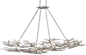 Currey and Company Rainforest Silver Chandelier