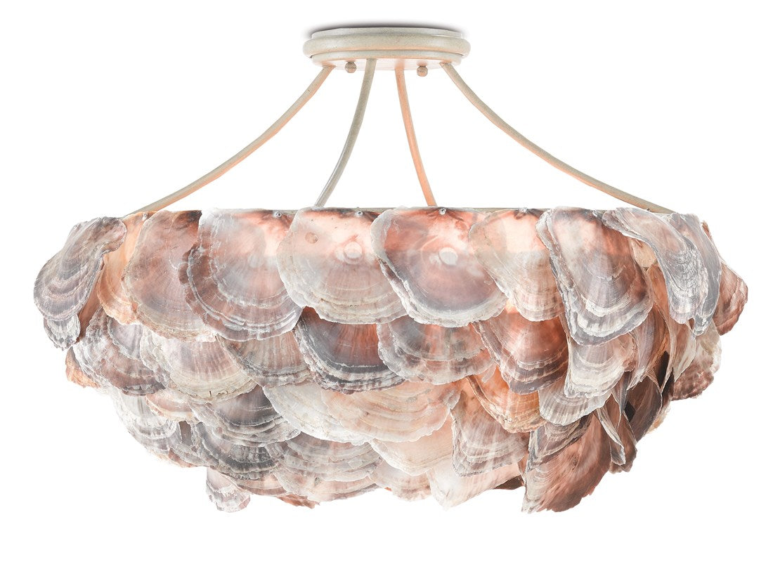 Currey and Company Seahouse Natural Shell Chandelier