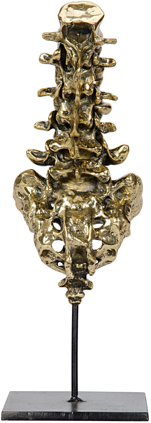 Noir Vertebrae - Brass and Metal