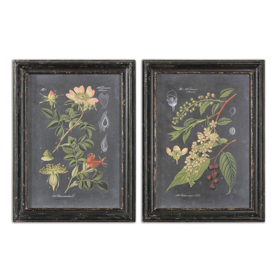 Midnight Botanicals Wall Art S/2