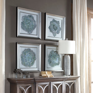 Natural Beauties Botanical Prints S/4