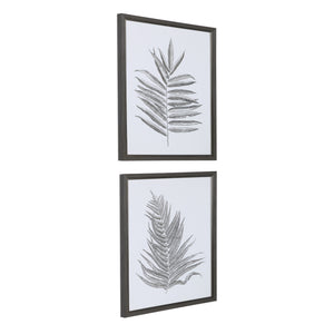 Silver Ferns Framed Prints Set/2