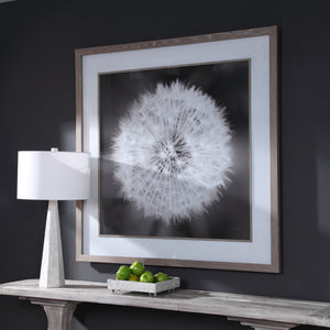 Dandelion Seedhead Framed Print