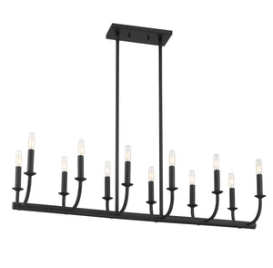 Bailey 12 Light Matte Black Chandelier