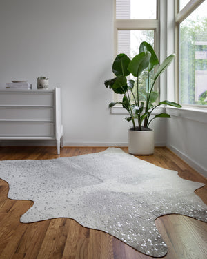 Loloi Bryce BZ-02 Area Rug