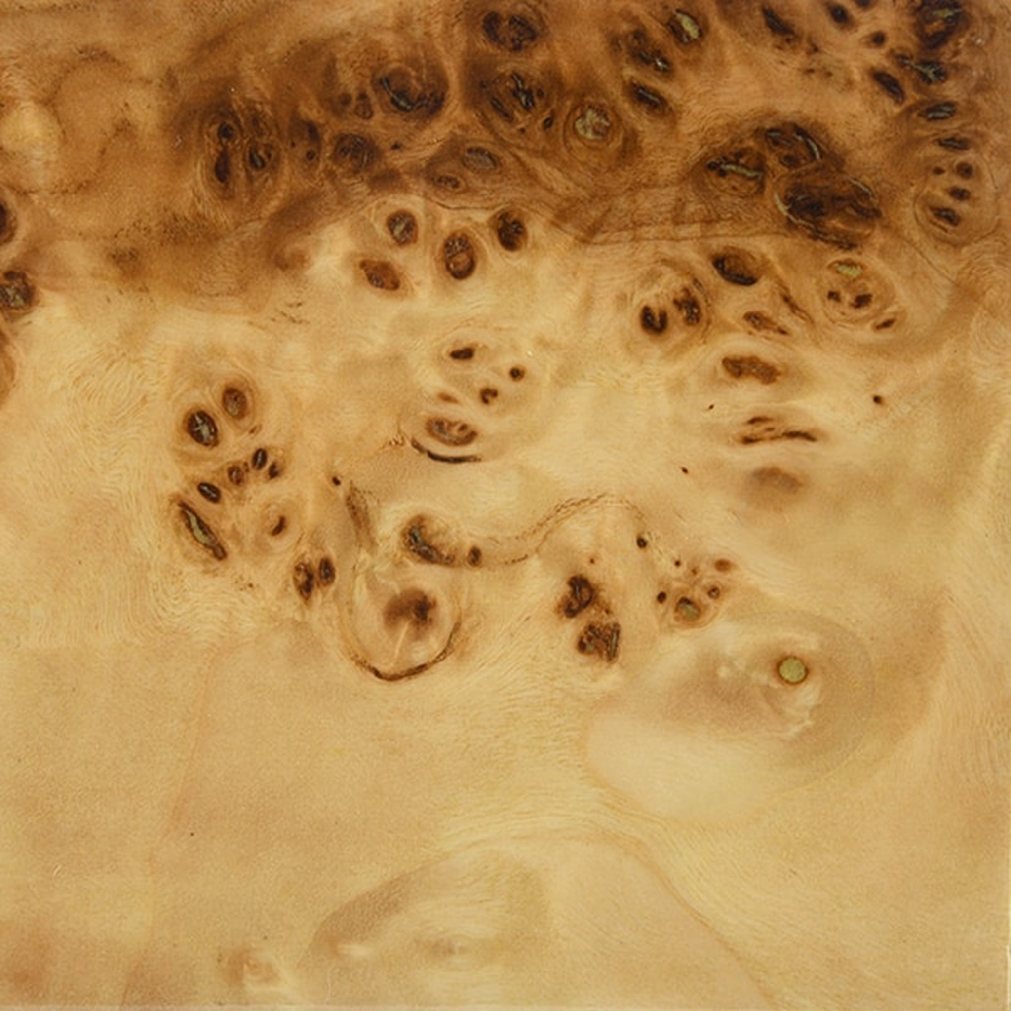 Worlds Away Cruise Counter Stool - Burlwood