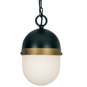 Brian Patrick Flynn for Crystorama Capsule Outdoor 1 Light Matte Black & Textured Gold Pendant