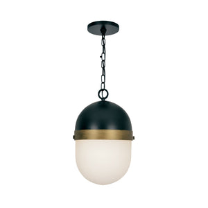 Brian Patrick Flynn for Crystorama Capsule Outdoor 1 Light Matte Black & Textured Gold Pendant