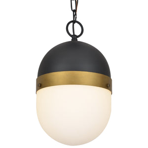 Brian Patrick Flynn for Crystorama Capsule Outdoor 1 Light Matte Black & Textured Gold Pendant
