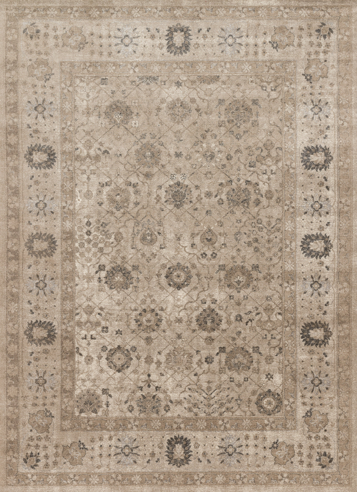 Loloi Century CQ-02 Area Rug