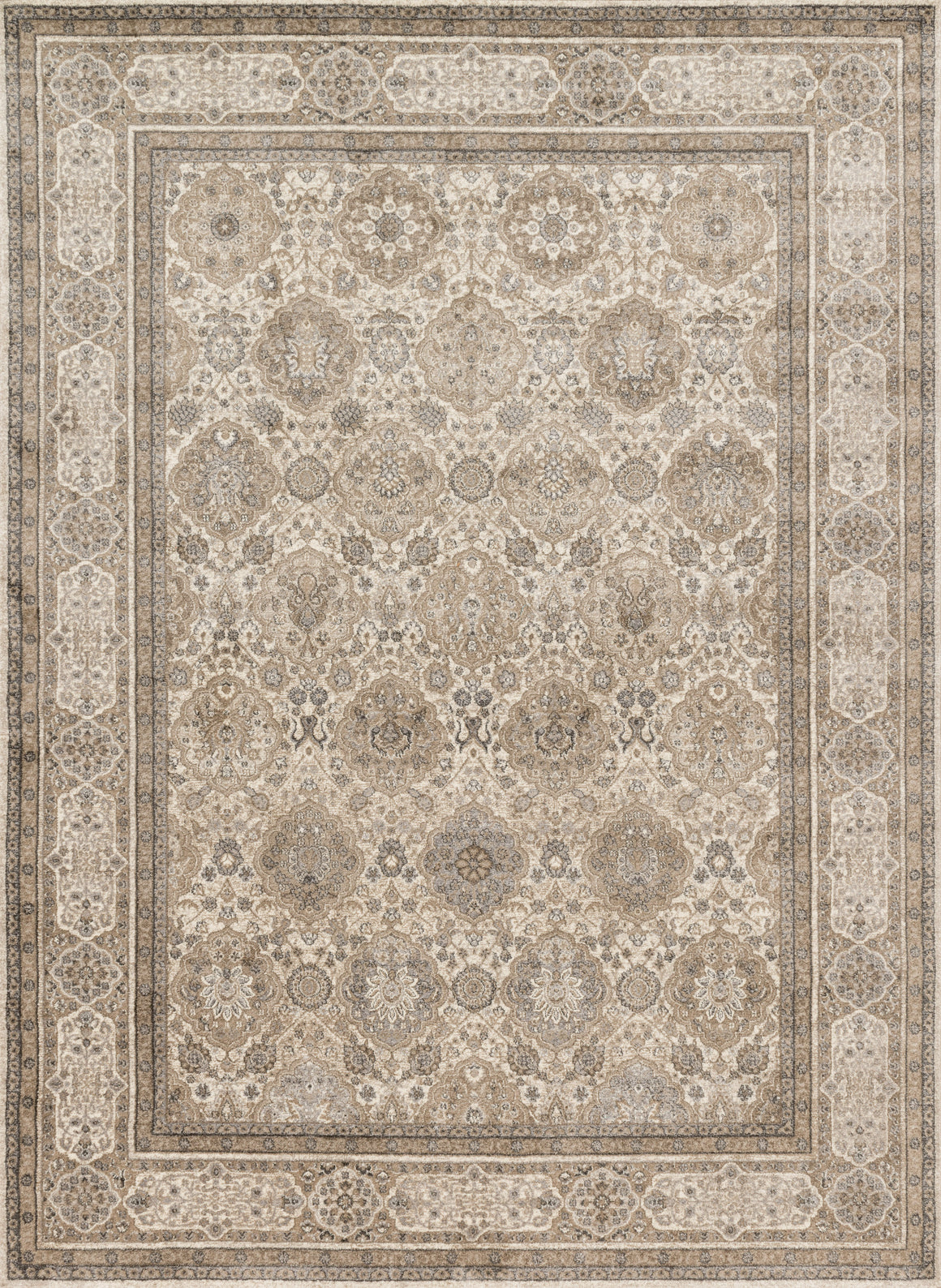 Loloi Century CQ-05 Area Rug