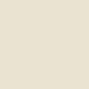 Tini Newport Decorative Lacquer Mirror – Crème (Additional Colors Available)